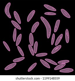 Group of Bacteroidetes on black background, vector illustration