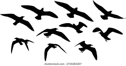 A group of bat silhouettes flying in different directions against a white background