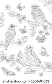 group of beautiful birds on branches of tree for your coloring page