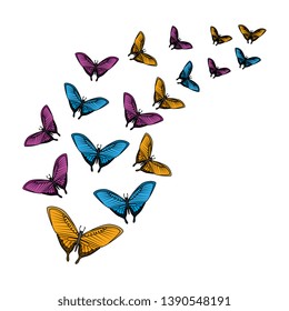 group of beautiful butterflies flying