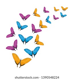 group of beautiful butterflies flying