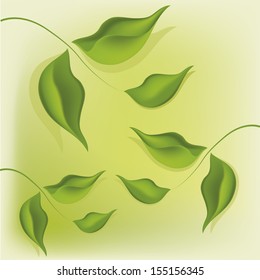a group of beautiful green leafs in a white green background