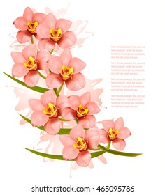 Group of beautiful pink orchid flowers. Vector.