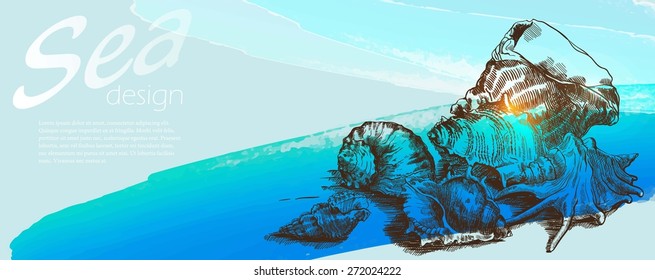 Group of  beautiful seashells in corner of  background with blue  wave
