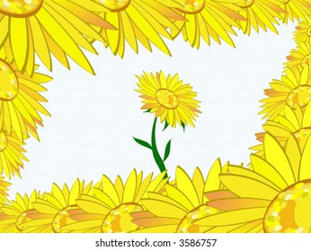 Group of beautiful yellow Sunflower petals details
