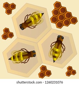 A group of bees forms honey in honeycombs. Insects that work in the summer.