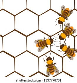 A group of bees on honey combs, net, bee, honey.