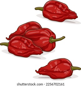 Grupo de Bhut Jolokia pimientos de chile fantasma. Naga jolokia. U-morok. Capsicum chinense. Pimienta picante. Pimienta chile. Verduras. Estilo de caricatura. Ilustración vectorial aislada en fondo blanco.