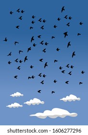 group of bird in the sky for background and illustration image