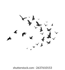 A group of Birds flying through the sky capture the essence of freedom, grace, and the beauty of nature in motion.white background 
