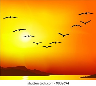 Sunset migratory birds Images, Stock Photos & Vectors | Shutterstock