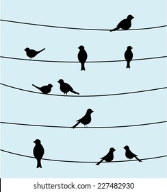 Group of birds on wires. Black color silhouette bird design, simple vector art image illustration on sky blue background. animal concept wallpaper, vintage style