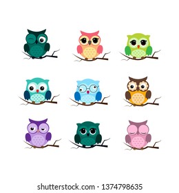 Group of birds. Owls night birds with big eyes. Colorful picture. Vector illustration
