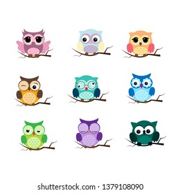 Group of birds. Owls night birds with big eyes. Colorful illustration
