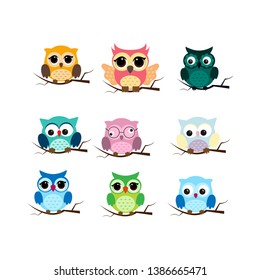 Group of birds. Owls night birds with big eyes. Colorful illustration