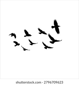 Group of birds soaring through air, depicting collective movement and natural avian behavior.