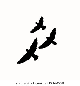 A group of birds soaring through the sky against a white backdrop.