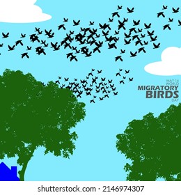 Group of birds that are migrating together on cloudy sky with trees and bold texts, World Migratory Bird Day May 14