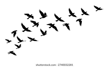 A group of black bird silhouettes in various flight positions, forming a flock moving upwards. The image is a simple, monochrome vector illustration creating a sense of movement and freedom.