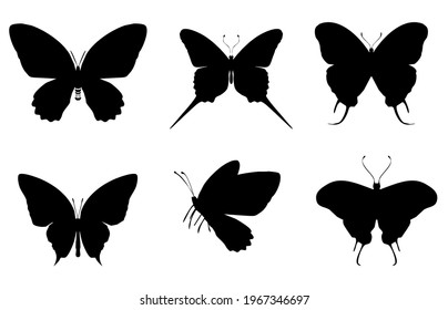 Group of black butterflies icon, isolated on white background. Vector