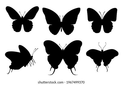 Group of black butterflies icon, isolated on white background. Vector