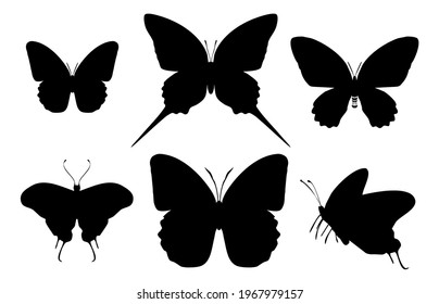 Group of black butterflies icon, isolated on white background. Vector