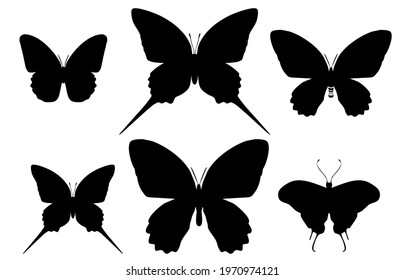 Group of black butterflies icon, isolated on white background. Vector