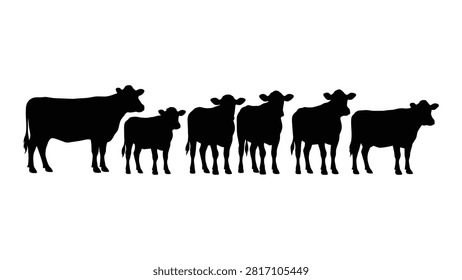 Group of black cows and calves standing together in a line