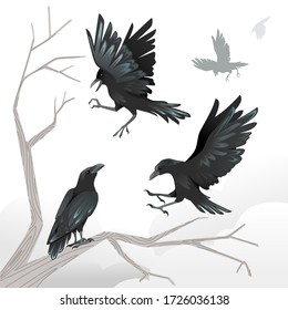 Group of black crows a dead tree branch advertising flyer design cartoon animal style flat vector illustration on white background
