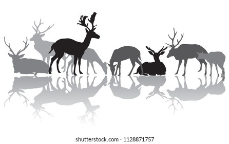 Group Black Grey Isolated Silhouettes Deers Stock Vector (Royalty Free ...