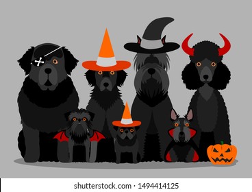 Group Of  Black Halloween Dog