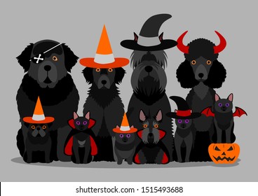 group of  black halloween dog and cat