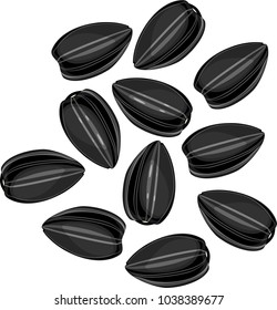 Group of Black sunflower seeds isolated on white background