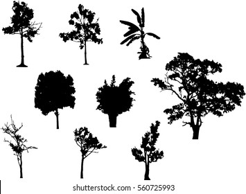 A group of black tree silhouettes in summer season, Isolate tropical black tree vector on white background