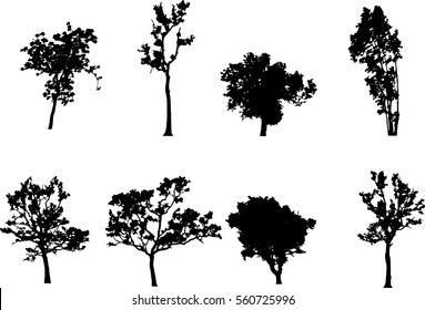 Silhouettes Tropical Trees Bushes Backgrounds Architectural Stock 