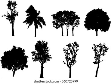 A group of black tree silhouettes in summer season, Isolate tropical black tree vector on white background