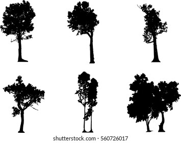 A group of black tree silhouettes in summer season, Isolate tropical black tree vector on white background