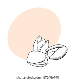 Group of black and white pistachio nuts, shelled and unshelled, sketch style vector illustration with space for text. Realistic hand drawing of pistachio nuts