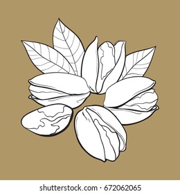 Group of black and white pistachio nuts, shelled and unshelled, sketch style vector illustration isolated on brown background. Realistic hand drawing of pistachio nuts with leaves