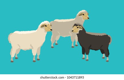 Group of black and white sheeps with solid and flat color design.