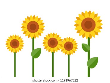 Group of blooming sunflowers different sizes vector flat material design isolated on white