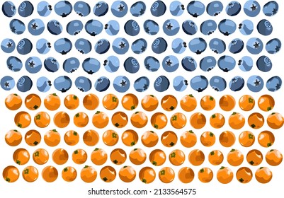 A group of blue and yellow berries in the shape of the Ukrainian flag (realistic vector illustration)