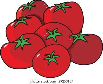 A group of bright red tomatoes on a white background