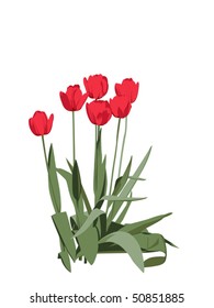 group of bright red tulips