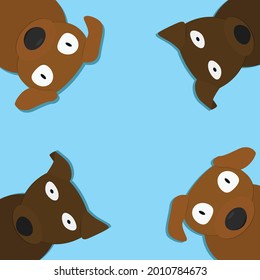 group of brown dogs on light blue background
