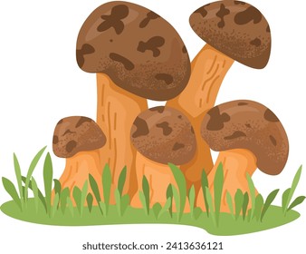 Group of brown mushrooms growing in the grass, edible fungi, nature scene. Forest harvest, wild food, autumn concept vector illustration.