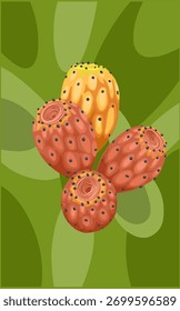 um grupo de frutos de cactos sobre fundo verde. Frutos e plantas de cactos