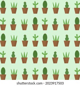 Group of cactus pattern. cactus pattern background. gardening concept.