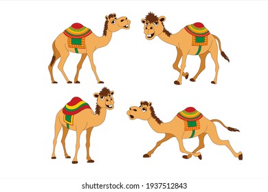 Group of Camels Animal Vector Illustration