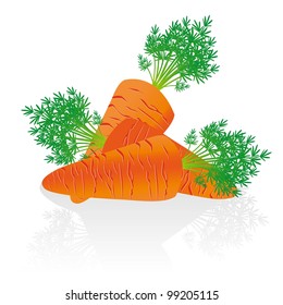 group of carrots isolated over white background
